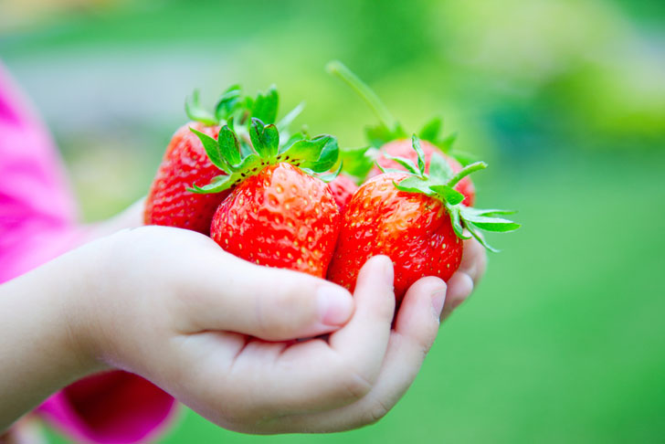 strawberry hands strawberry hands